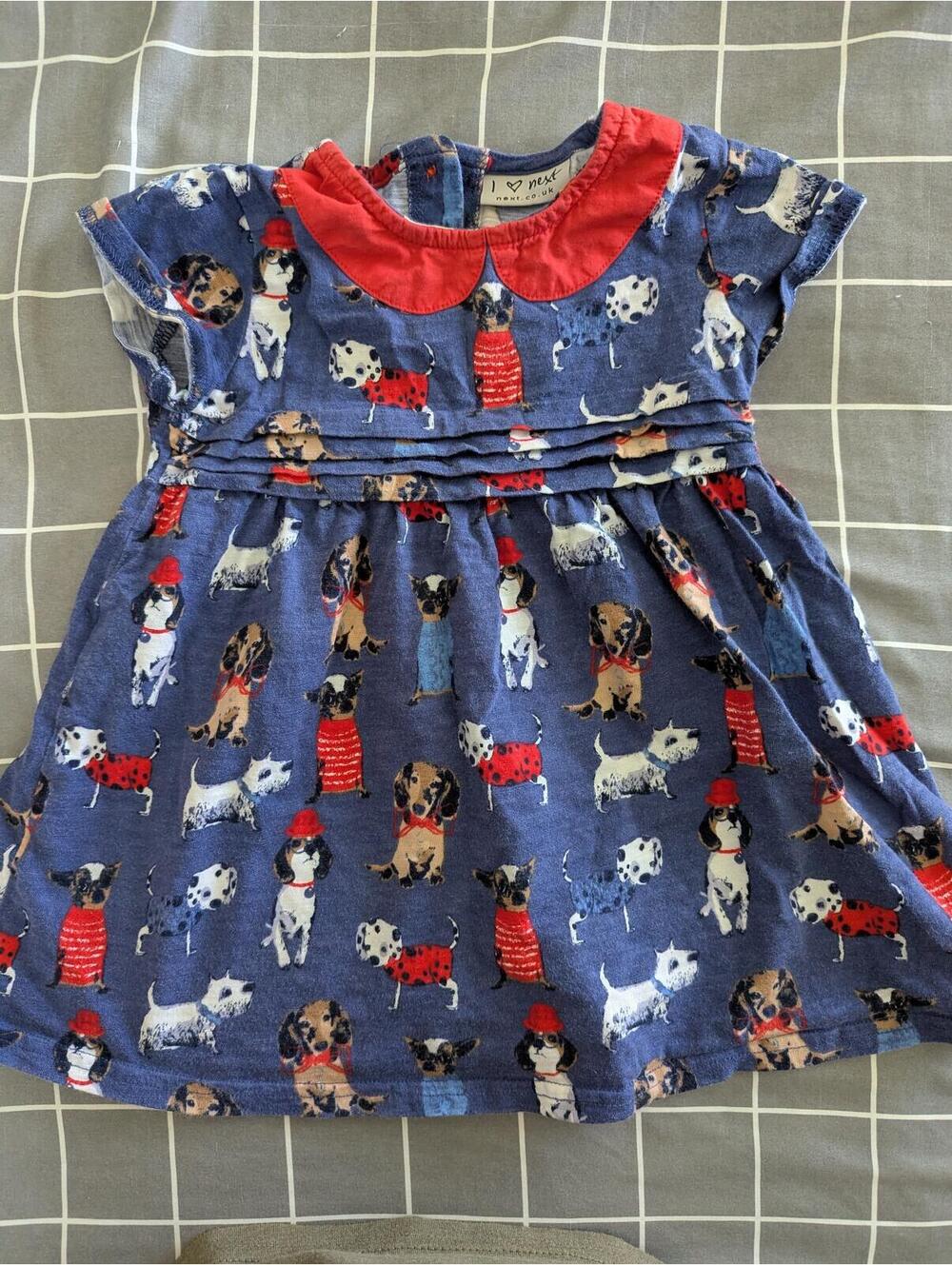 Next dog dress